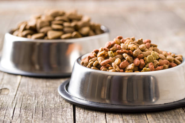 Comment choisir les croquettes bio pour chien ?