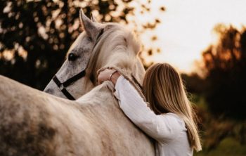 Quels sont les soins quotidiens du cheval ?