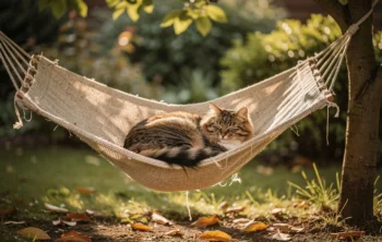 Pourquoi un hamac est-il indispensable dans l&rsquo;univers d&rsquo;un chat ?