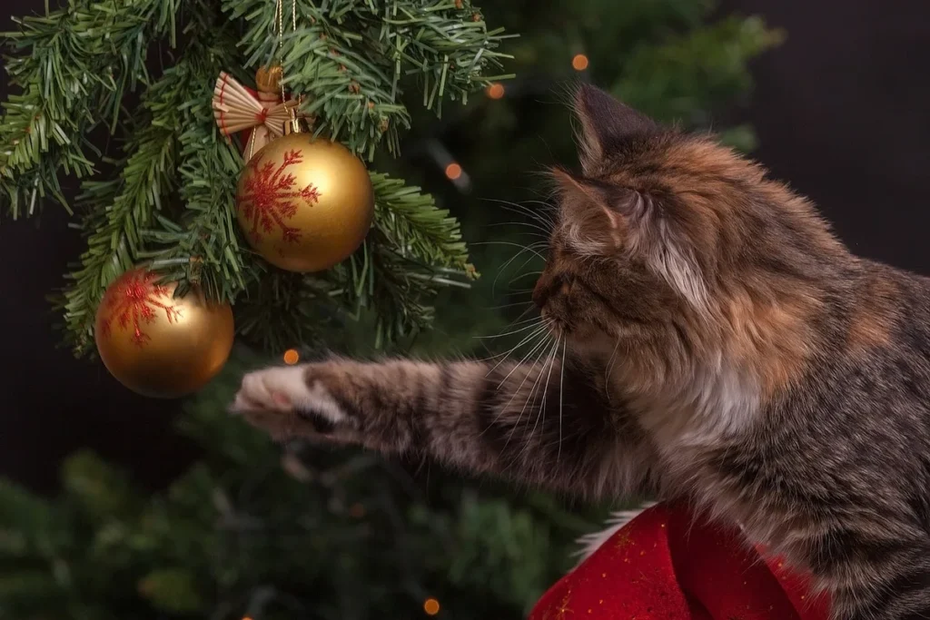 Tout savoir sur Pawfest Nantes, le rendez‑vous bien‑être des animaux